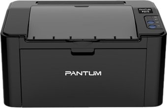 Pantum P2516