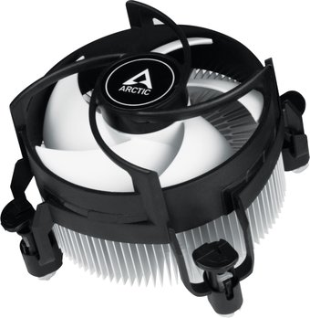 Arctic Alpine 17 ACALP00040A