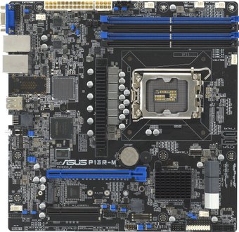 Материнская плата ASUS P13R-M